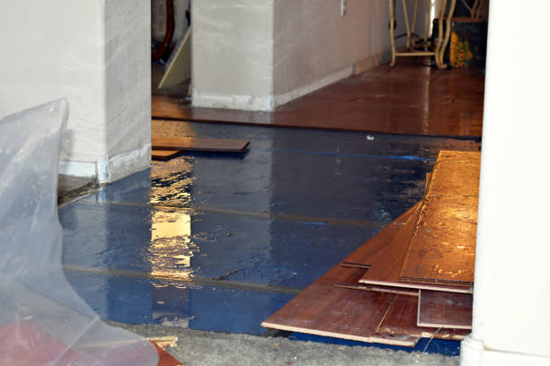 Professional Sewage Cleanup technician working in Hatley, WI